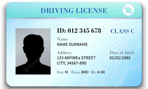 Driving License Check
