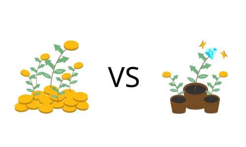 IDCW vs Growth