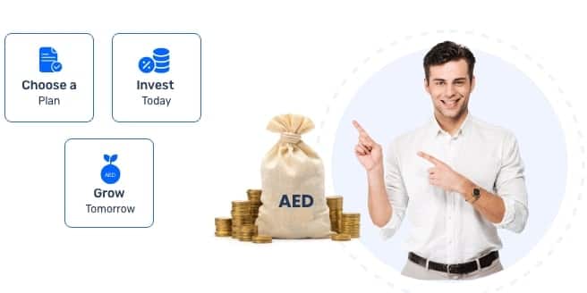 Investment plan in UAE