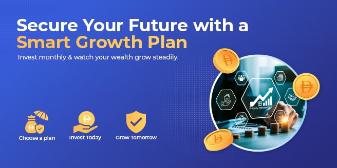 Investment plan in UAE