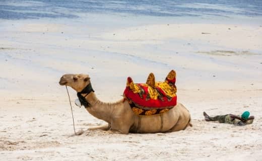 Travel Insurance for Saudi Arabia