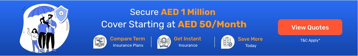 Buy Term Insurance in Dubai