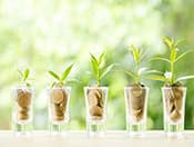 Bluechip Funds