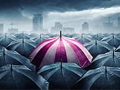 Best Term Insurance Plans in India