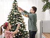 Winter Festivities